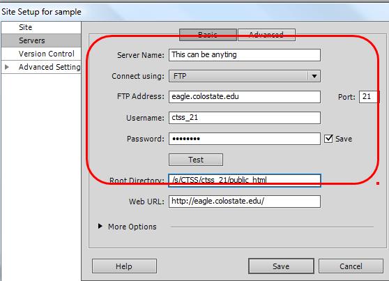 From the Basic tab complete the following fields: Sever name is just a text field and it can contain anything.