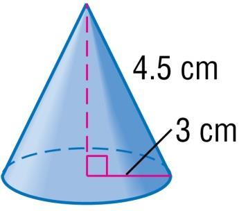 cone. Round to the nearest tenth.