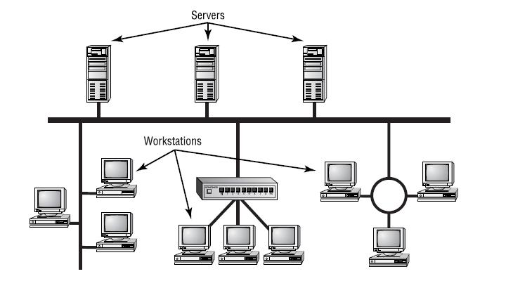 Server, Workstation, and Client role in networking (Cont.