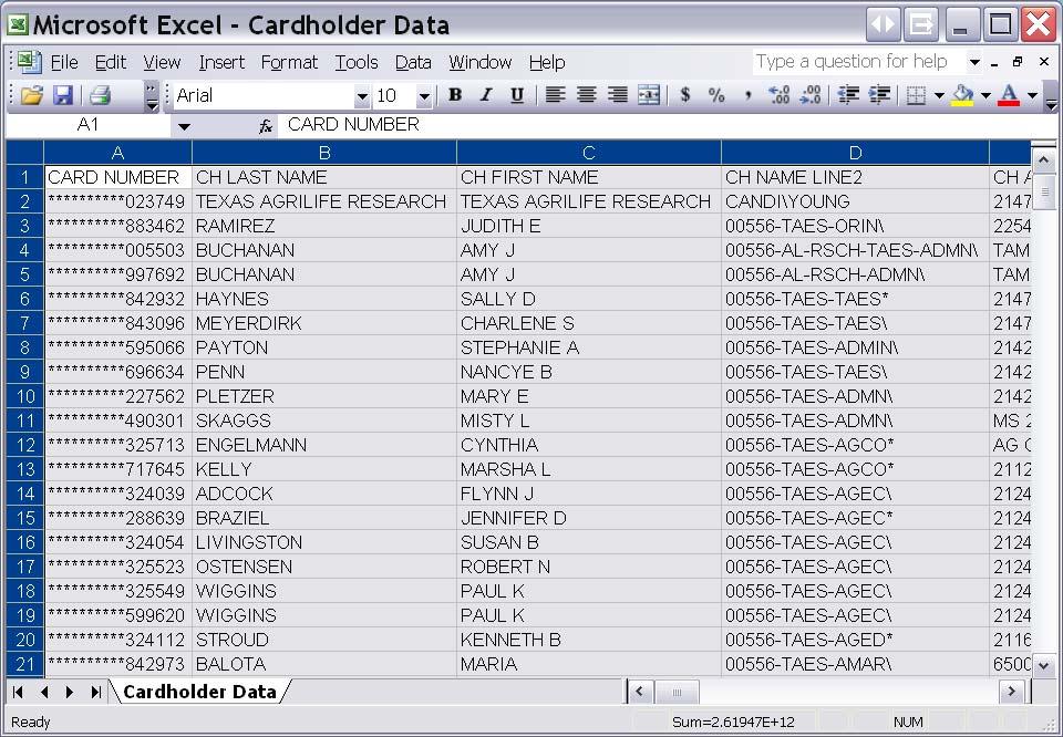 6. After selecting finish, your report will be generated in Excel.