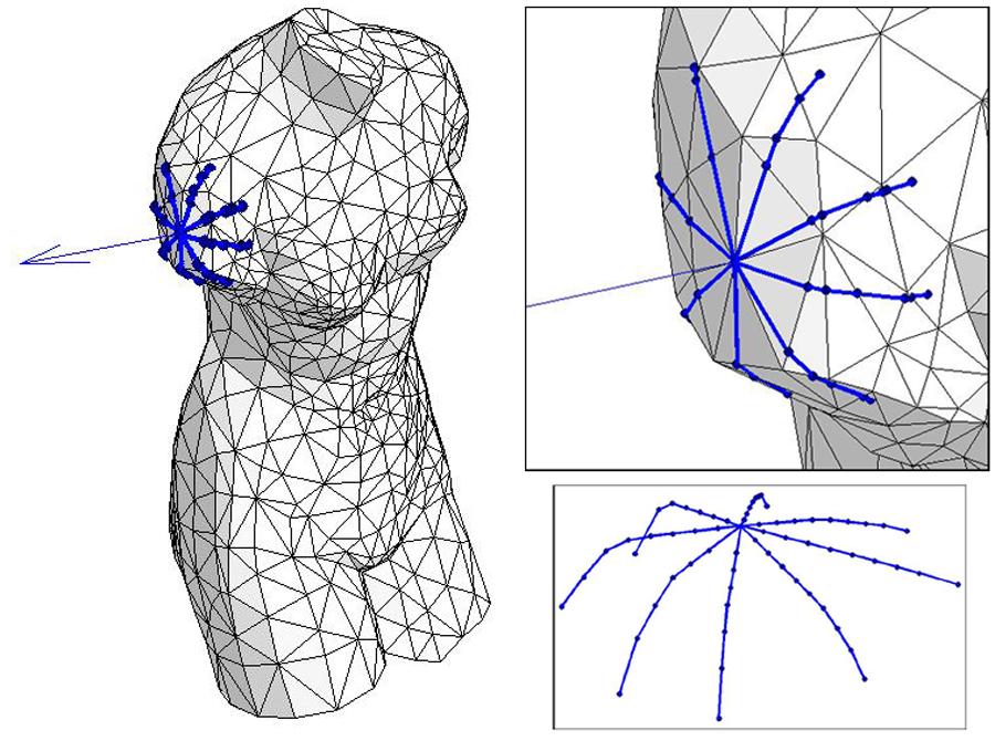 Spider: A robust curvature estimator for noisy, irregular meshes Technical report CSRG-531, Dynamic Graphics Project, Department of Computer Science, University of Toronto, c September 2005 Patricio