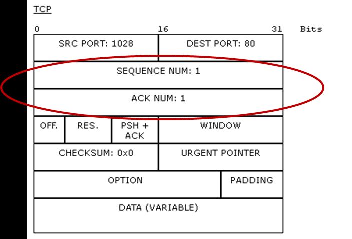 Task 2 Transport Layer Investigation 19. The two most common Transport layer protocols of TCP/IP protocol suite are Transmission Control Protocol (TCP) and User Datagram Protocol (UDP).