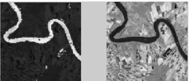 Discrete Wavelet Transform in remote sensing image : (a) Input image (b) Decomposed subbands using DWT (b) earlier.