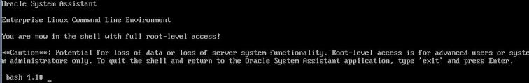 The Oracle System Assistant command-line shell window appears. 4.