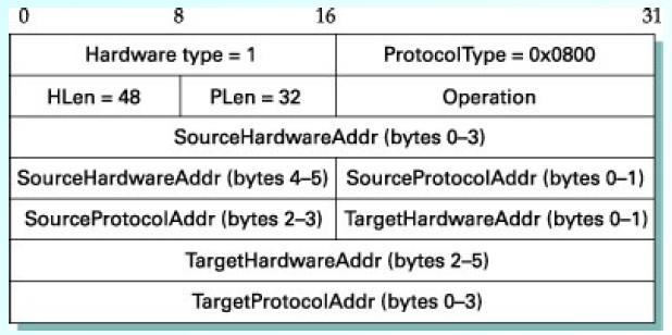 ARP Protocol Details ARP frame format
