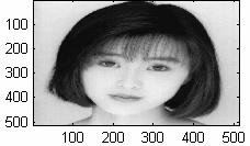 172 (g) Embeded image 3. (h) Extracted image 3 (PSNR = 4.59dB). Fig. 8. (Cont d) (a) Composite image. (c, e, g) The three embedded images. (b) Extracted cover image.