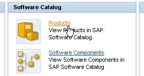 Check the Software Catalog: On SLD Home choose Software Catalog / Products Filter for SAP NetWeaver and check the details: