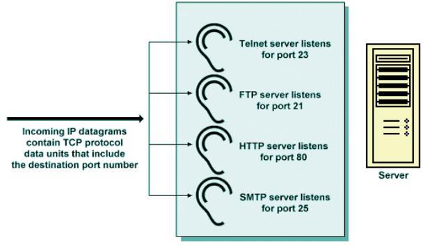 BASIC NETWORKING PORTS MACHINES LISTEN TO FOR DATA TRAFFIC 00-07-95-b2-56-85 80 00-07-95-b2-56-68 Port 80: Web Port 443: Secure web Port 1433: SQL Database