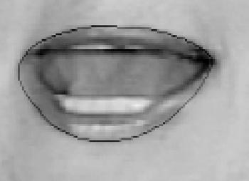 In our experiments the models with different number of eigenvectors were used to describe the outer lip shape.