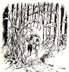THE ORIGINS OF NARNIA Seven novels written from the summer of 1948 and March of 1954