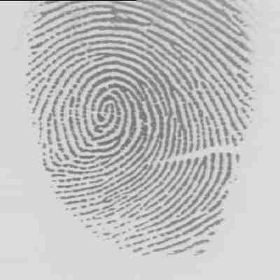 Decoded Fingerprint (a) (b) (c) (d) Figure 3: (a)