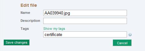 Tags Tags allow you to include a user defined classification scheme for your Artefacts and Views. You can add individual words, or phrases. Multiple tags can be added and must be separated by a Comma.