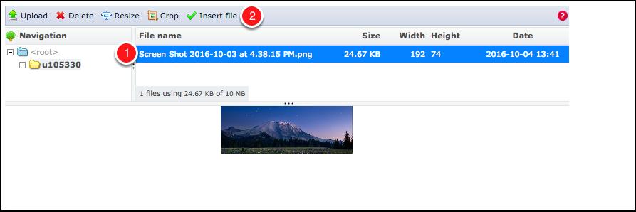 Selecting images When you click on the Browse Server button in the Image Properties window you will see a list of files in your account folder on the server - not just image files.
