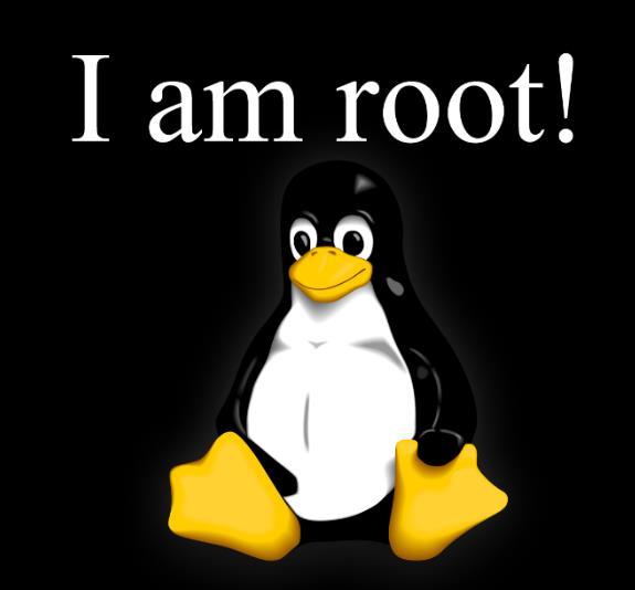 The Root Account Account types: User and Root Root the Linux Administrator account Like the built-in Administrator in Windows, Linux comes with a built-in root account A system can have multiple root