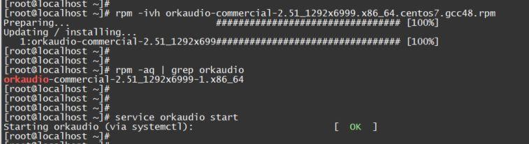 # rpm -aq grep orkaudio # service orkaudio start NOTE: Once you have your Port Mirror setup to capture traffic, please make sure that the correct Network Adapter (Device) is correctly entered in