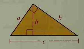 14. An isosceles triangle has sides that are 5 cm, 5 cm, and 8 cm long. Find its area and the lengths of the three altitudes. 15. (a) Find the area of the right triangle in terms of a and b.
