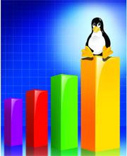19 October 2009 Lead Linux rising Virtualization and interoperability are seen as driving the adoption of Linux servers in a big way, writes Nivedan Prakash Linux has established a firm presence in