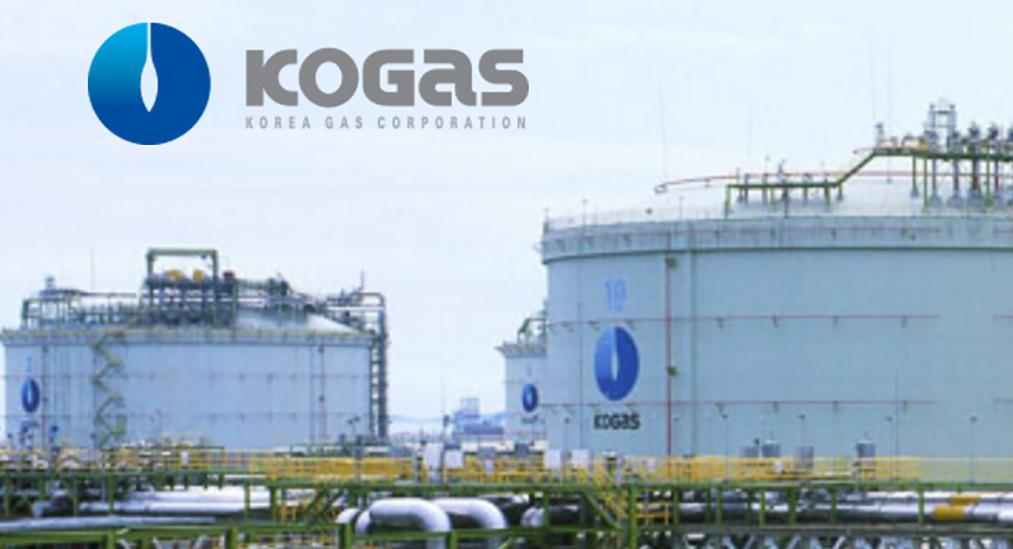 About HanAra Software About Korea Gas (KOGAS) HanAra Software connects deep industry knowledge with innovative technology to provide integrated data management and predictive maintenance solutions