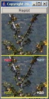 Figure 1 Visible Watermarks. The bottom image in Figure 1 is a modified version of the original image shown at the top.