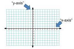Axis: fixed reference line for the measurement
