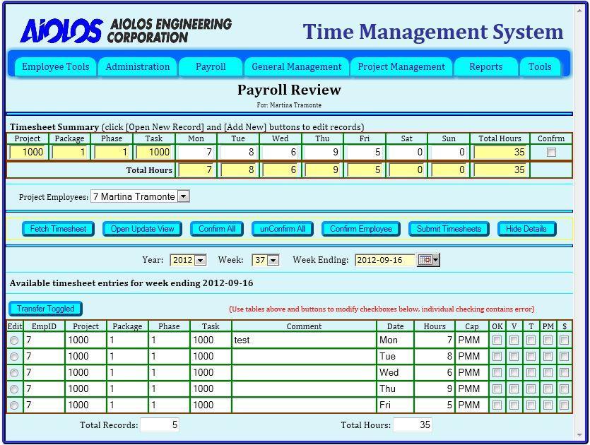 Figure 58: Payroll Review web page - Details view If you disagree with one of the Timesheet records, then you should click the Open Update View button to display the New/Toggled section.