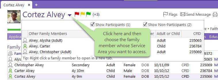 If a family member is not a participant, they'll only have access to the Application and Family Services