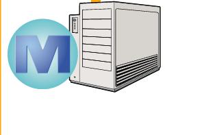 The installation and maintenance of all software on other clients and servers, including the database software, such as