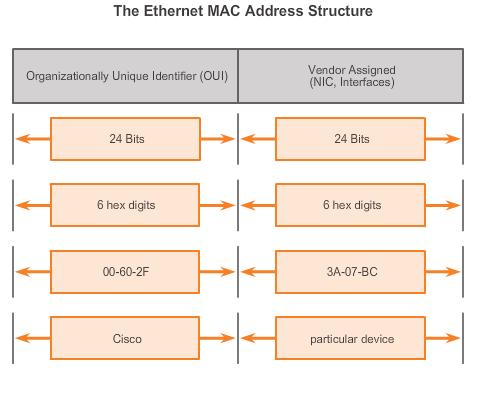 Ethernet Operation MAC Address: Ethernet Identity Layer 2 Ethernet MAC address is a 48-bit binary value expressed as 12 hexadecimal digits IEEE requires a vendor to