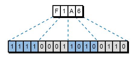 Hexadecimal Number System The