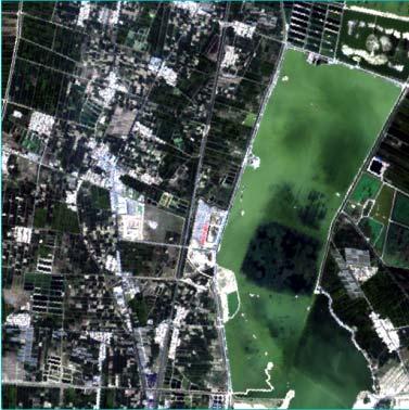 size of 10m multispectral remote sensing image is 512 512.