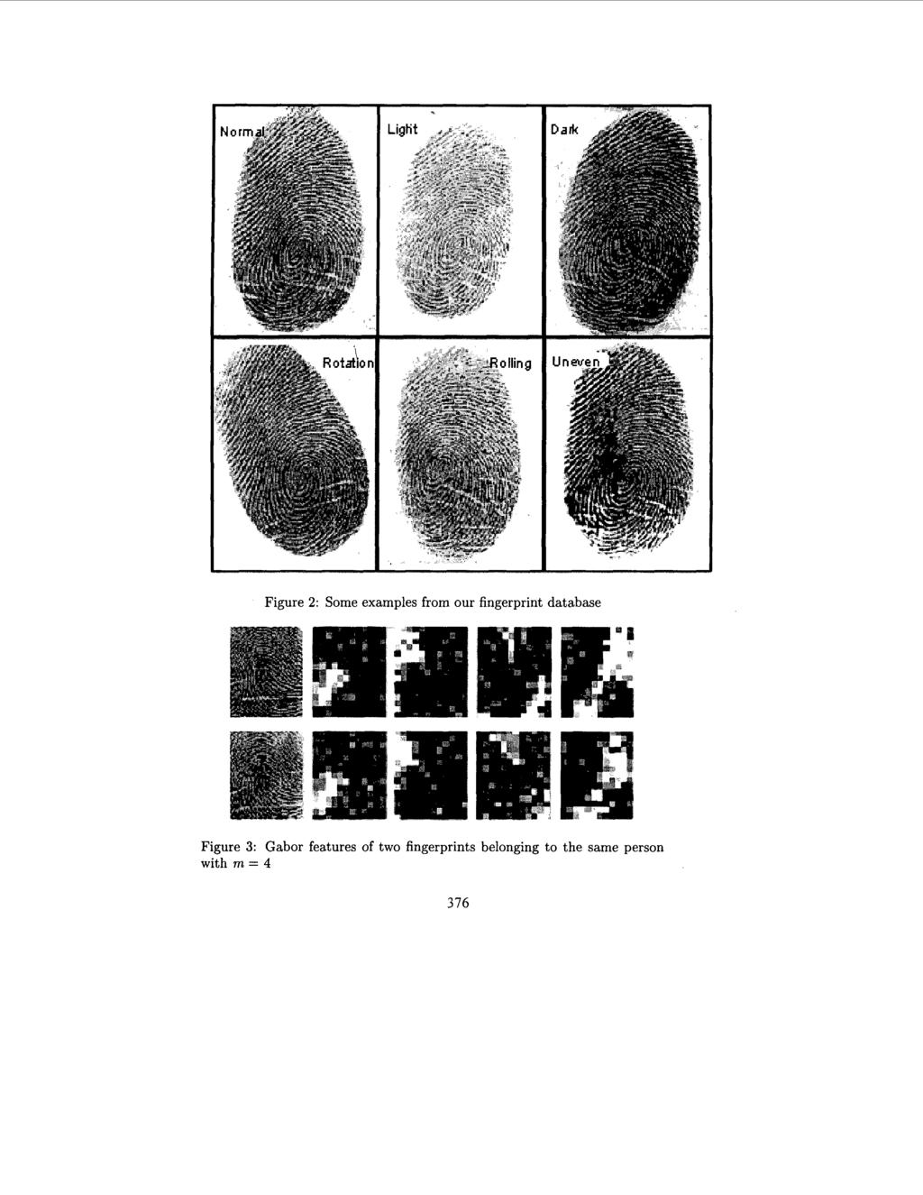 Figure 2: Some examples from our fingerprint database Figure 3: Gabor