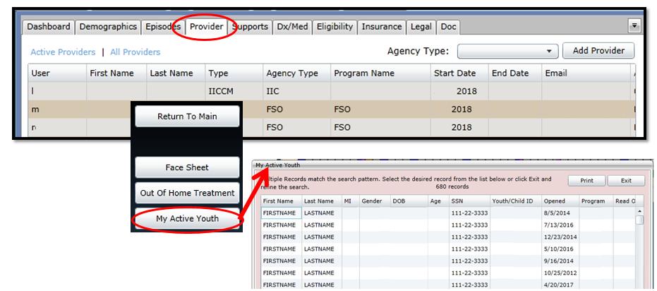 Provider Tab The Provider tab is a list of all treatment providers who are, or have been authorized to provide services to a youth.