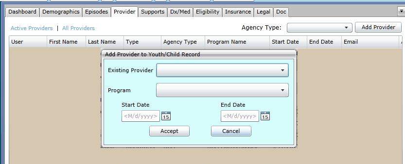 Provider Tab Add Provider To add a user, select the Add Provider button and the Add Provider window will appear.