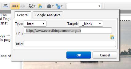 Do not forget the http:// or similar prefix e.g. http://www.everythingexmoor.org.uk From the menu Target: select the option _blank Click OK Meta Tags Make sure that you have used your CMS to add individualised meta tags for each page of your site.