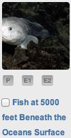 Both options will reveal a primary image thumbnail for each story, it s title and a checkbox.