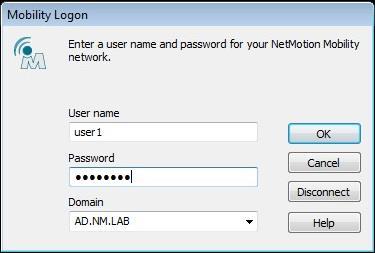 Change the User name with the user of Active Directory to which the Yubikey is assigned and enter its password in the Password field.