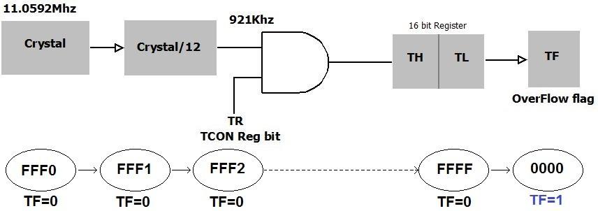 The registers TCON and TMOD affect the timer operation. The clock frequency is divided by 12 and used by the timer unit. Thus if a 11.