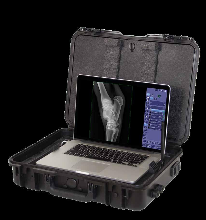 MyRad Equine SEE THE DIFFERENCE UNIVERSAL IMAGING Universal Imaging Ultra-lite Digital Radiography