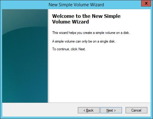 Volume. In the Welcome to the New Simple Volume Wizard dialog box, click Next.