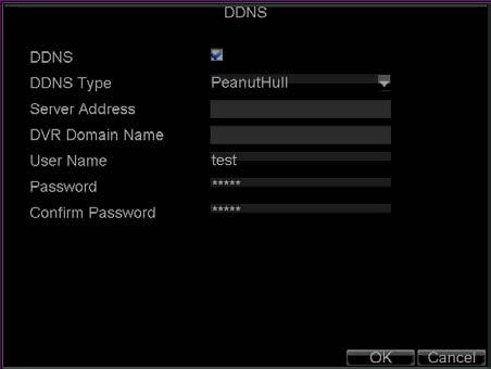 5. Select DDNS Type. Three different DDNS types are selectable: IpServer, PeanutHull and DynDNS. IpServer: Enter Server Address for IpServer. Refer to Figure6.