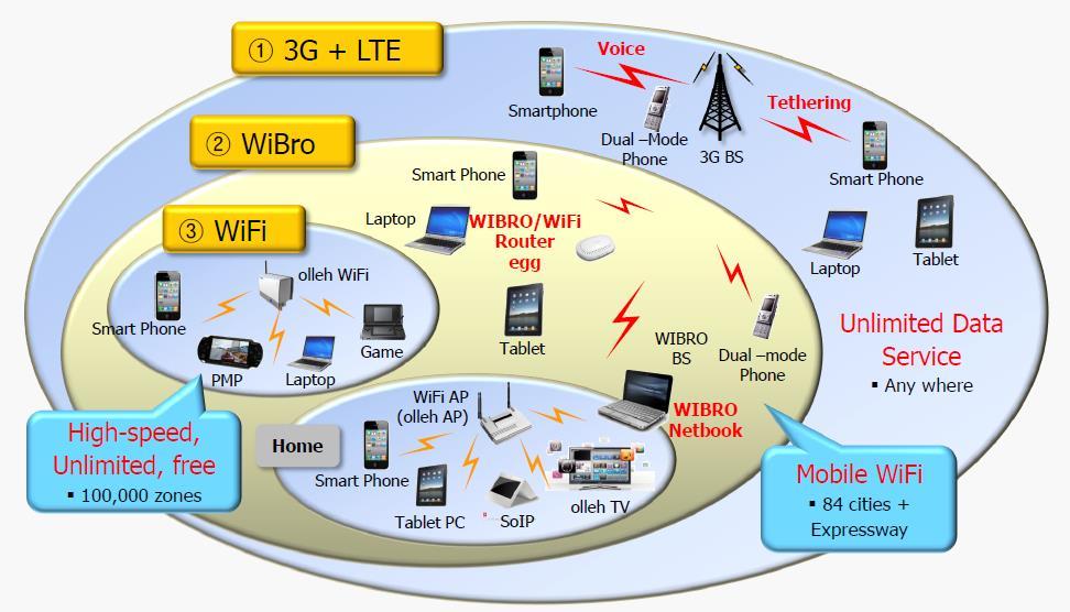Network Evolution and Vision Mobile Wonderland -