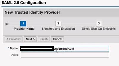 Figure 30 Entering the name of the IDP manually 11.