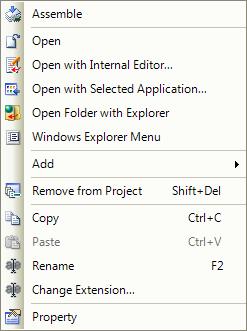 automatically generates some files under the File node in the Project Tree window. Among these, the processing of the "main.c" and "hdwinit.