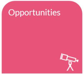 4. Opportunities Q1. What is an Opportunity? A1.