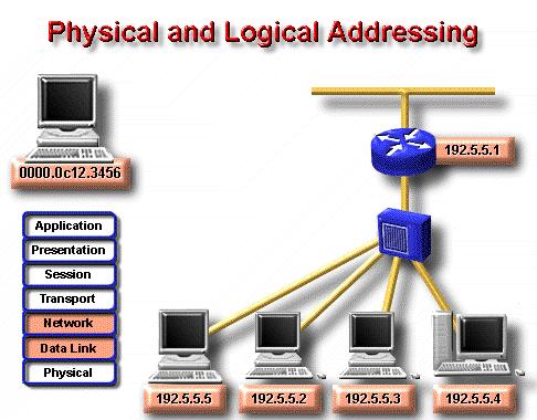 Two important types of addresses are data link layer addresses and network layer addresses.