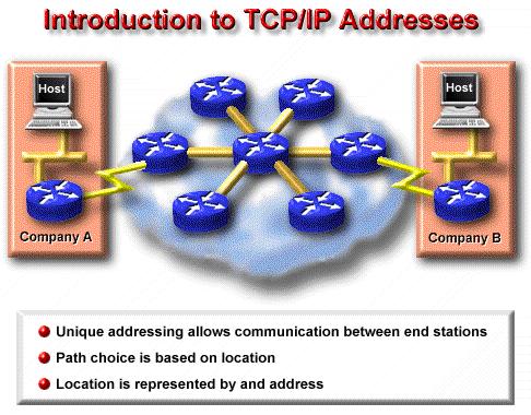 In a TCP/IP environment, end stations communicate with servers or other end stations.
