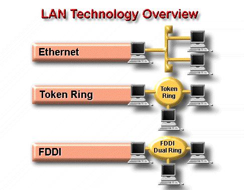 Ethernet The first of the major LAN technologies, it runs the largest number of LANs.