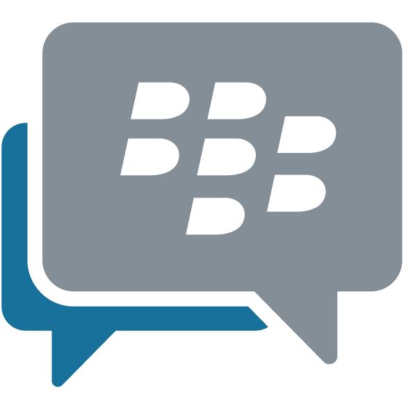 BBM Enterprise SDK Provides the capability to add real-time capabilities to your solutions Text messaging Secure voice and audio messaging Video calls and video messaging Push notification File