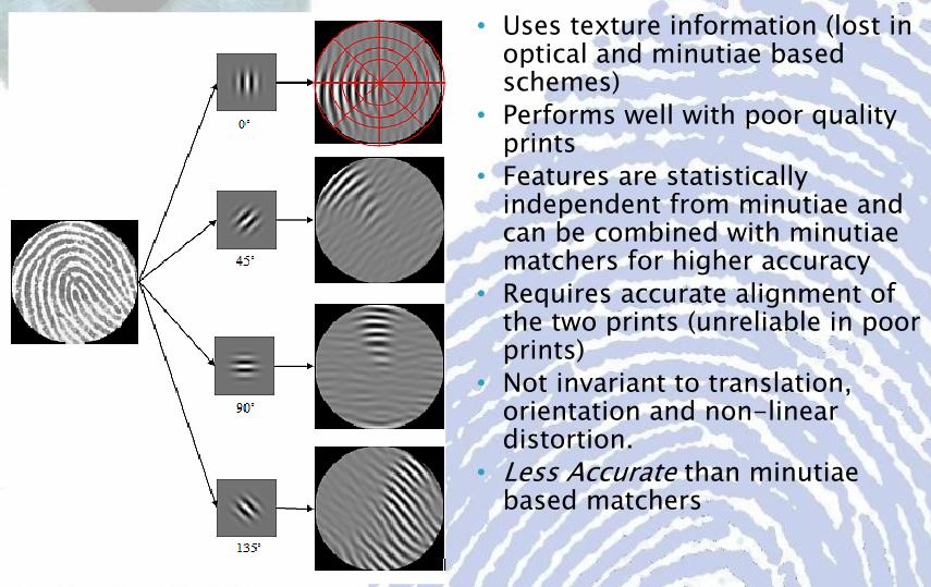 Fingerprint verification: texture
