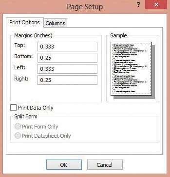 Display and Share Data 410 4. Click the Setup button. The Page Setup dialog box appears, as shown in Figure 13-31. Click the Cancel button.